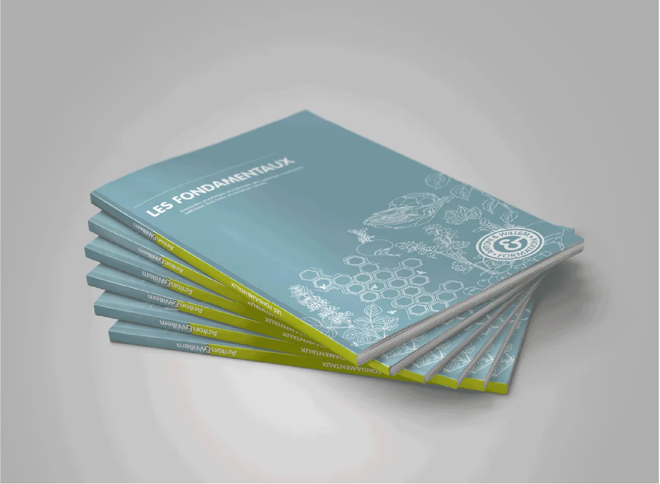 Architecture et mise en page - Image 2